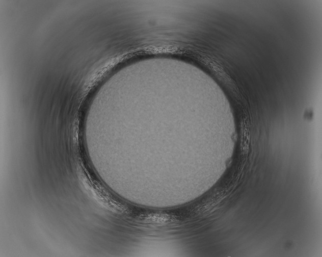 X0000115320631200911301559