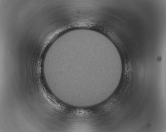 X0000115320632200911301559