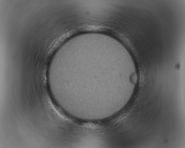 X0000115320633200911301559