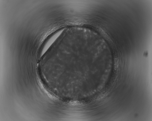 X0000115320634200911301559