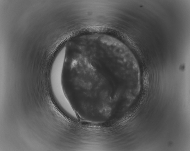 X0000115320637200911301559