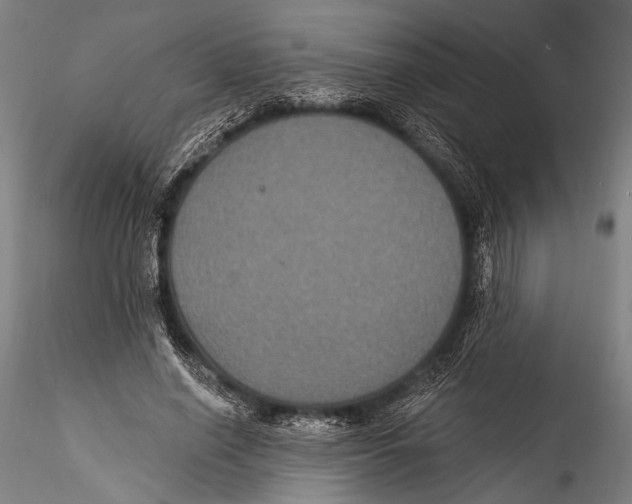 X0000115320638200911301559