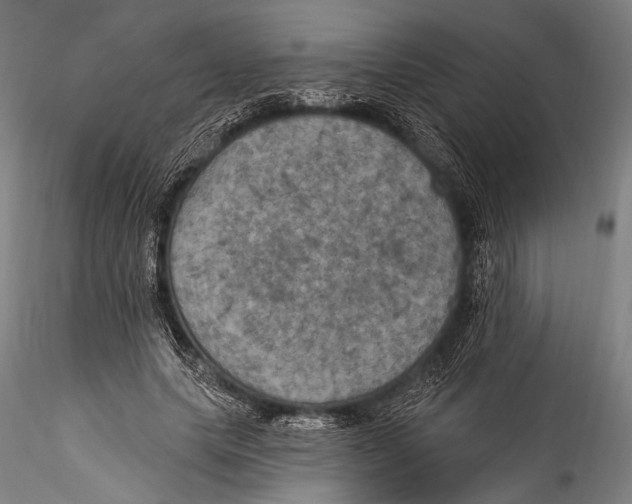 X0000115320639200911301559