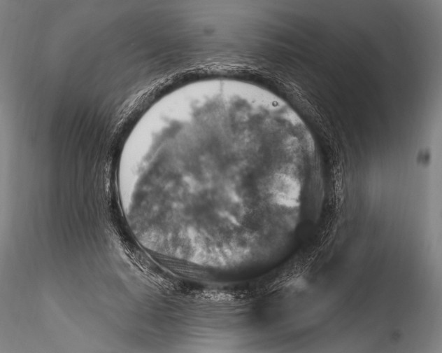 X0000115320640200911301559