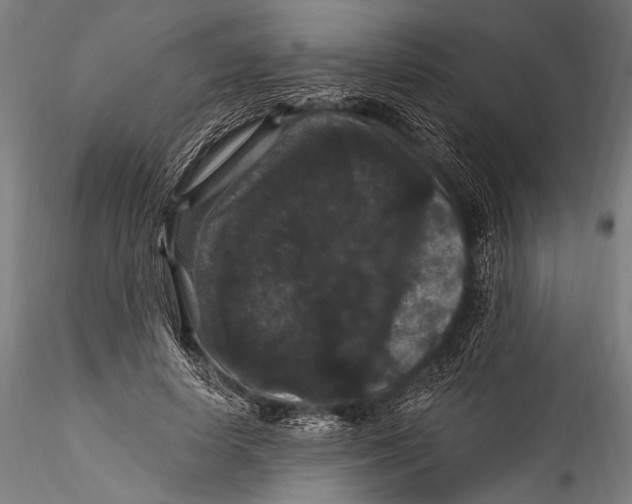 X0000115320642200911301559