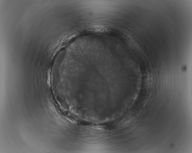 X0000115320643200911301559