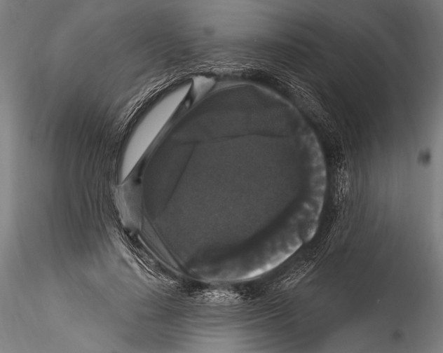 X0000115320644200911301559