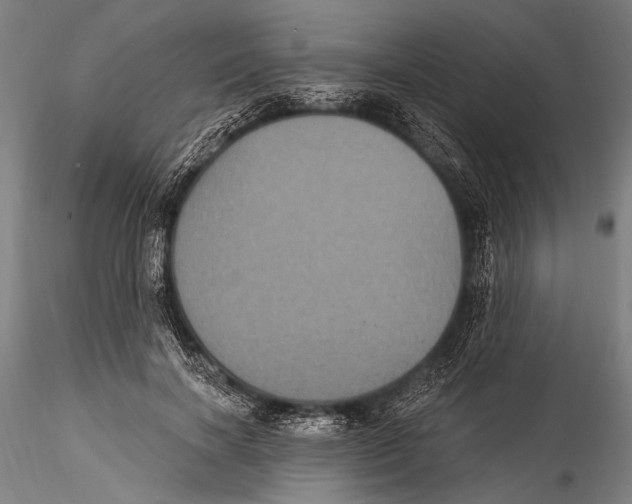 X0000115320646200911301559