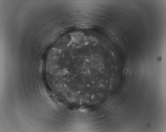 X0000115320647200911301559