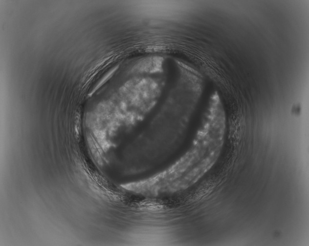 X0000115320648200911301559