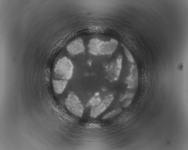 X0000115320649200911301559