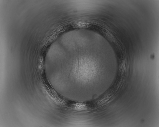 X0000115320651200911301559