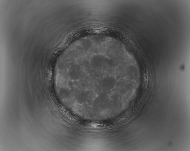 X0000115320657200911301559