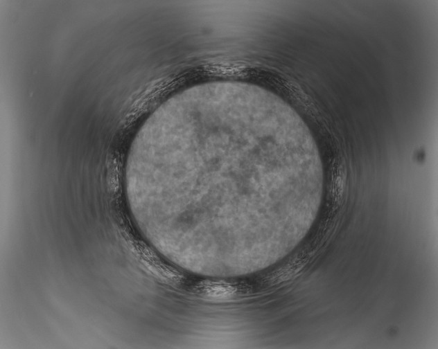 X0000115320658200911301559