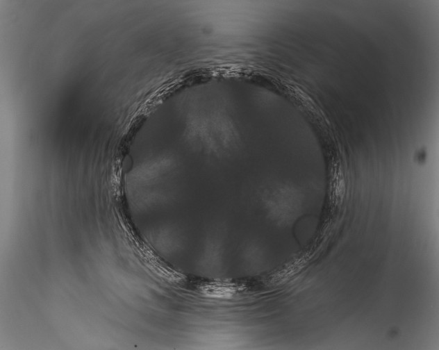 X0000115320661200911301559