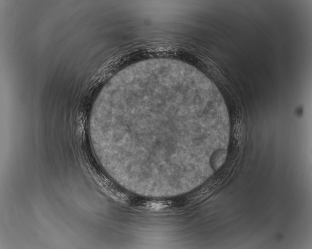 X0000115320662200911301559