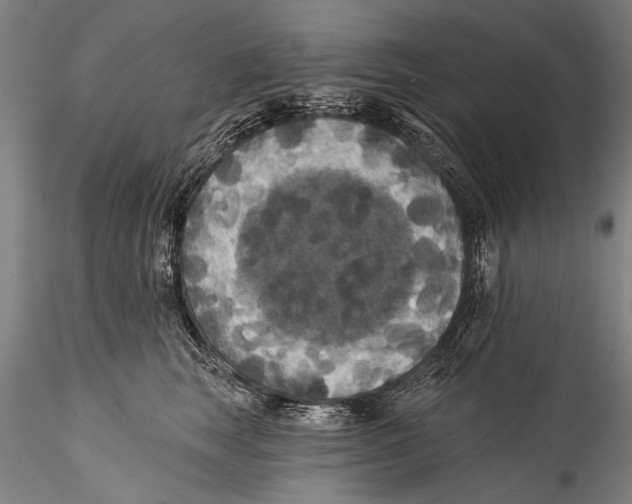 X0000115320663200911301559