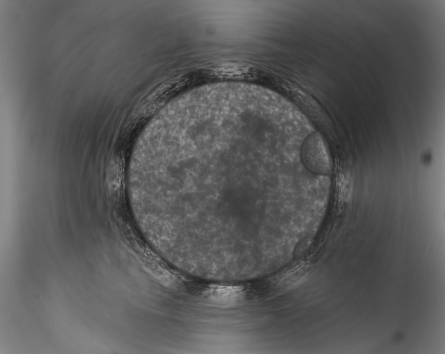 X0000115320665200911301559