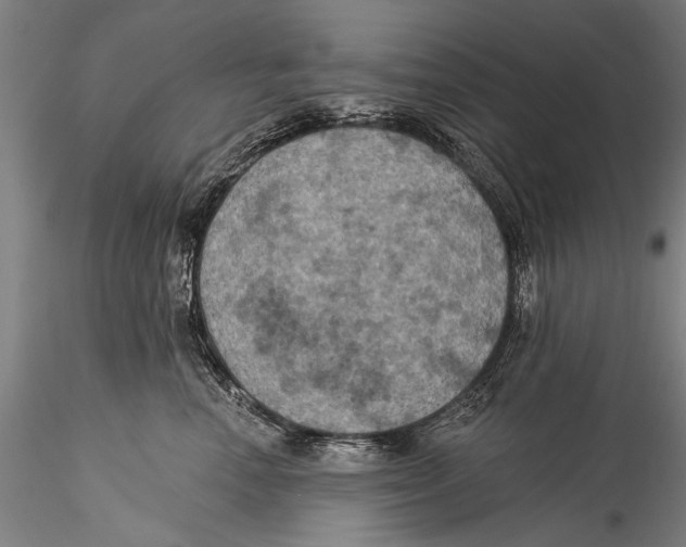 X0000115320666200911301559