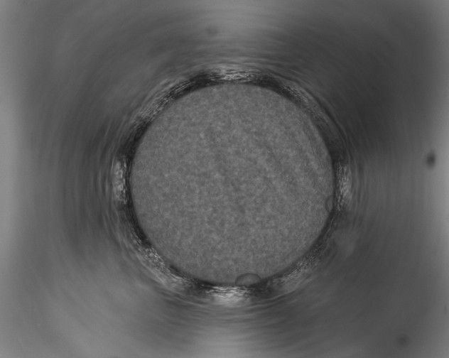 X0000115320667200911301559