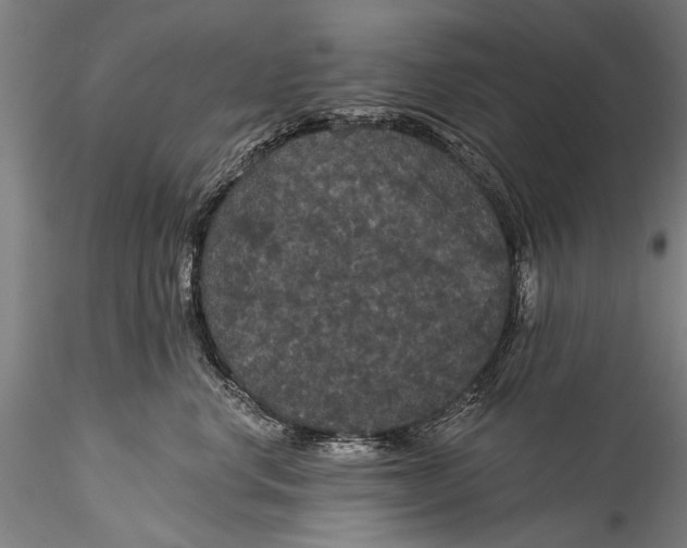 X0000115320668200911301559