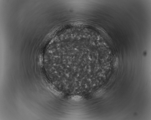 X0000115320669200911301559