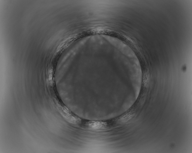 X0000115320670200911301559