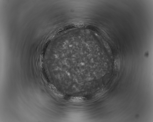 X0000115320671200911301559