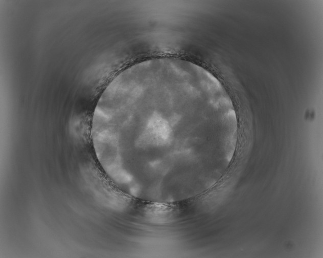 X0000115320672200911301600