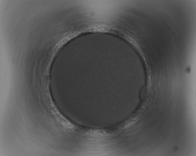 X0000115320673200911301559