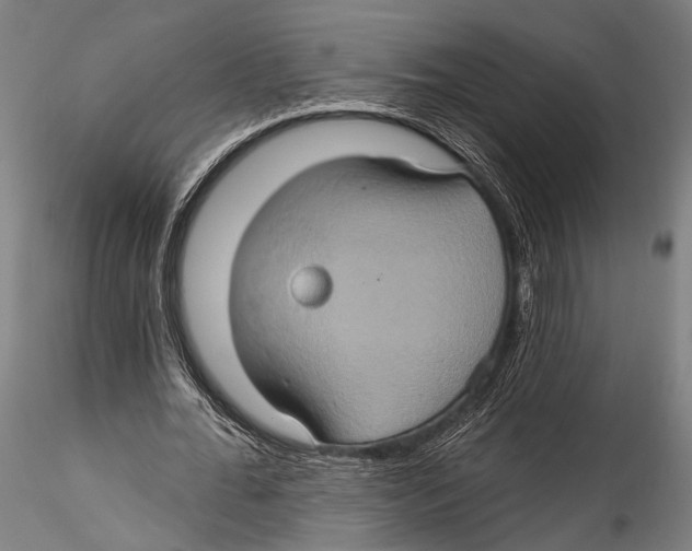 X0000115320676200911301559