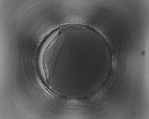 X0000115320677200911301559