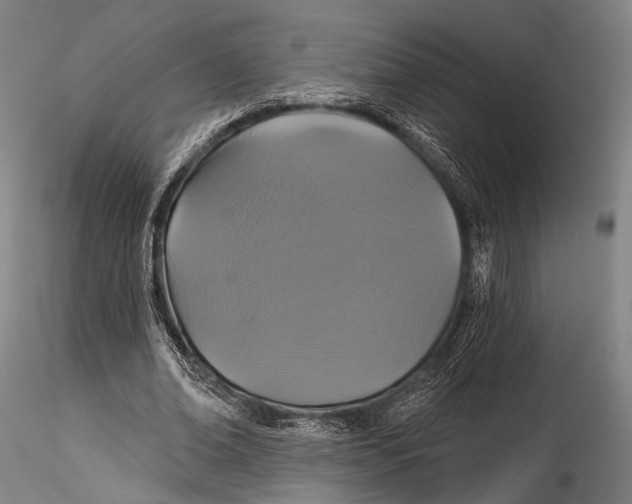 X0000115320678200911301559