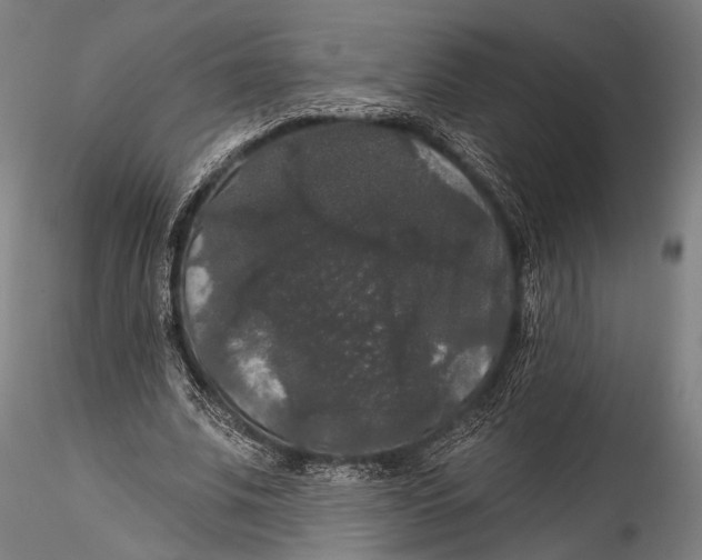 X0000115320679200911301559