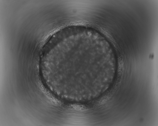 X0000115320681200911301559