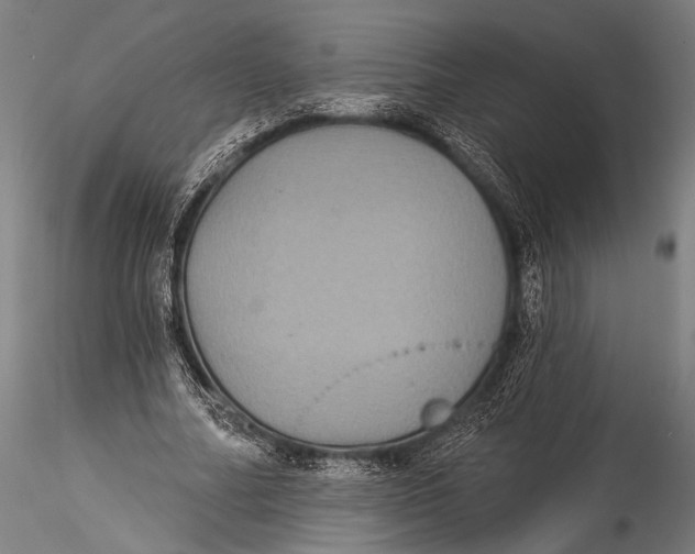 X0000115320682200911301559