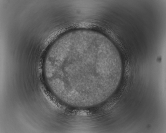 X0000115320683200911301559