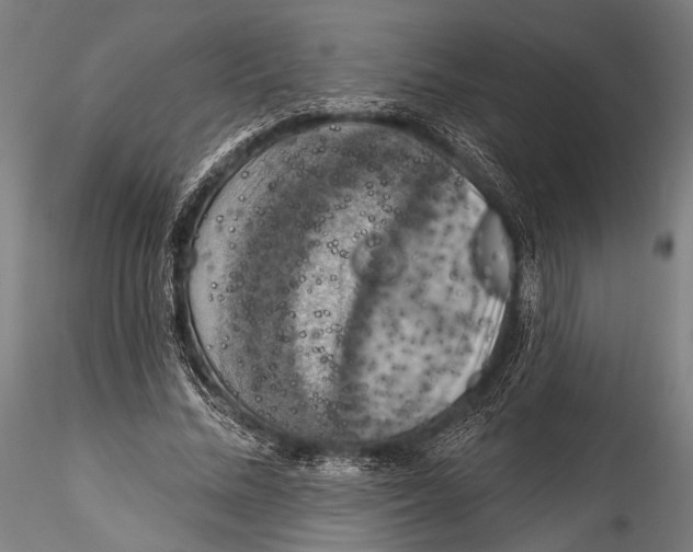 X0000115320684200911301559