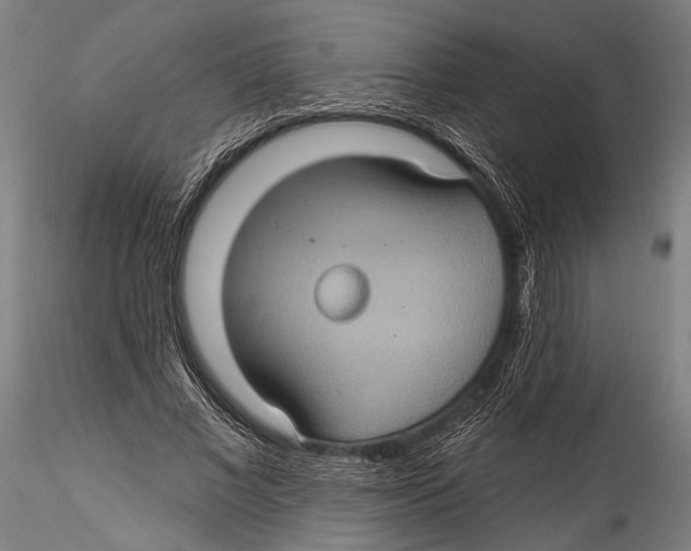 X0000115320685200911301559