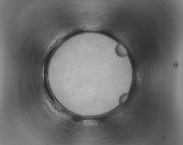 X0000115320686200911301558