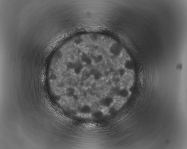 X0000115320687200911301558