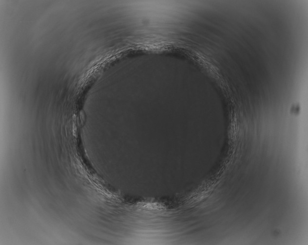 X0000115320689200911301558