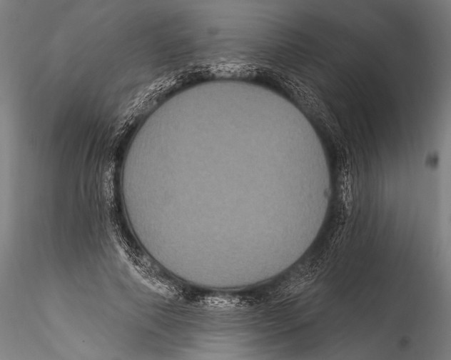 X0000115320690200911301558