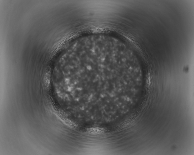 X0000115320691200911301558