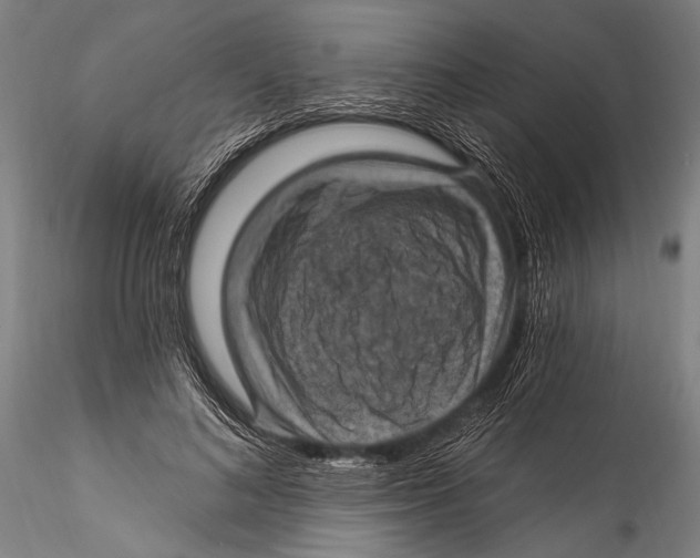 X0000115320692200911301558