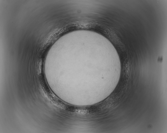 X0000115320694200911301558