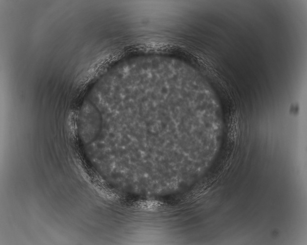 X0000115320695200911301558