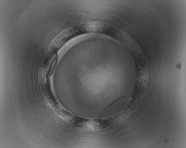 X0000115320696200911301558