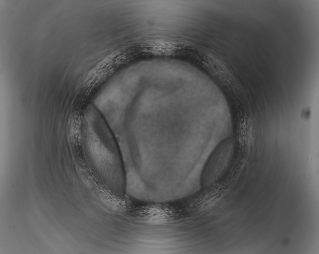 X0000115320697200911301558