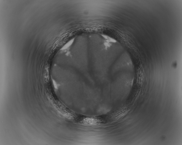 X0000115320699200911301558